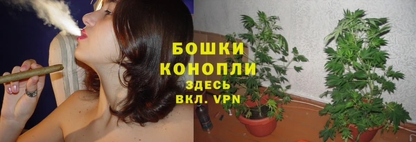ПСИЛОЦИБИНОВЫЕ ГРИБЫ Верея