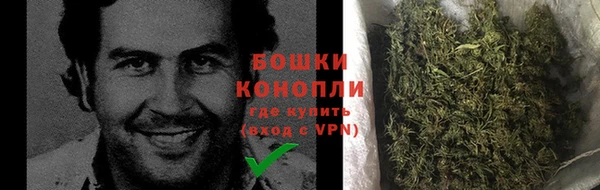 молекула духа Верхний Тагил