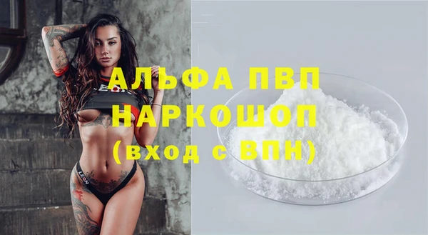 ПСИЛОЦИБИНОВЫЕ ГРИБЫ Верея