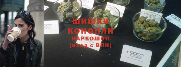 индика Верхнеуральск