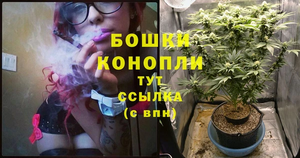индика Верхнеуральск