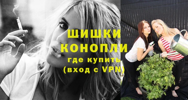 ПСИЛОЦИБИНОВЫЕ ГРИБЫ Верея