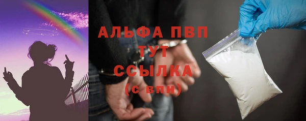 ПСИЛОЦИБИНОВЫЕ ГРИБЫ Верея