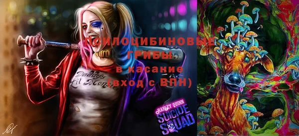 ПСИЛОЦИБИНОВЫЕ ГРИБЫ Верея