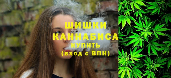 ПСИЛОЦИБИНОВЫЕ ГРИБЫ Верея
