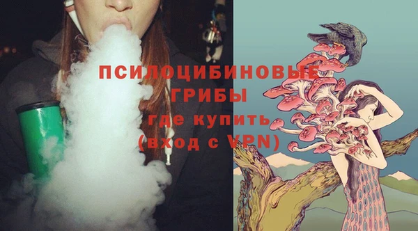индика Верхнеуральск