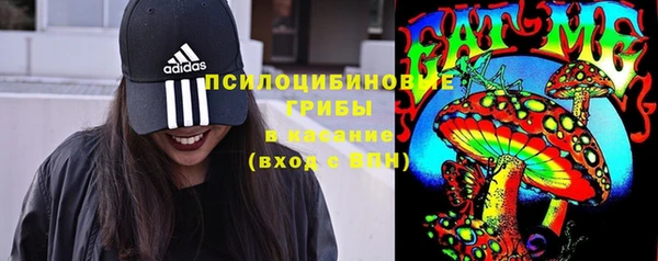 индика Верхнеуральск