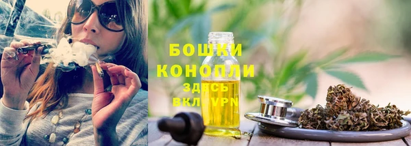 ПСИЛОЦИБИНОВЫЕ ГРИБЫ Верея